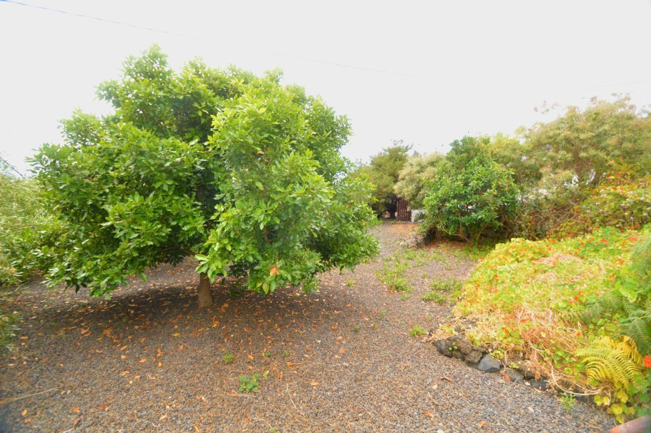 Holiday home Juana Quinta Monte de Brena